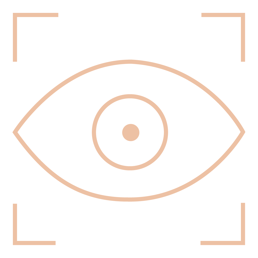 stronger oversight icon